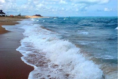 Top Điểm Du Lịch Gần Thành Phố Hồ Chí Minh, Phối Hợp ùng suntrave247 bai tam long hai